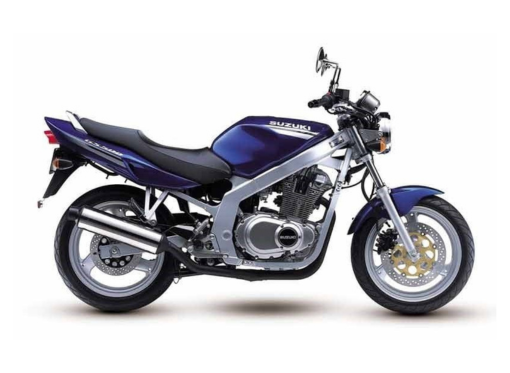 Suzuki GS 500 2001